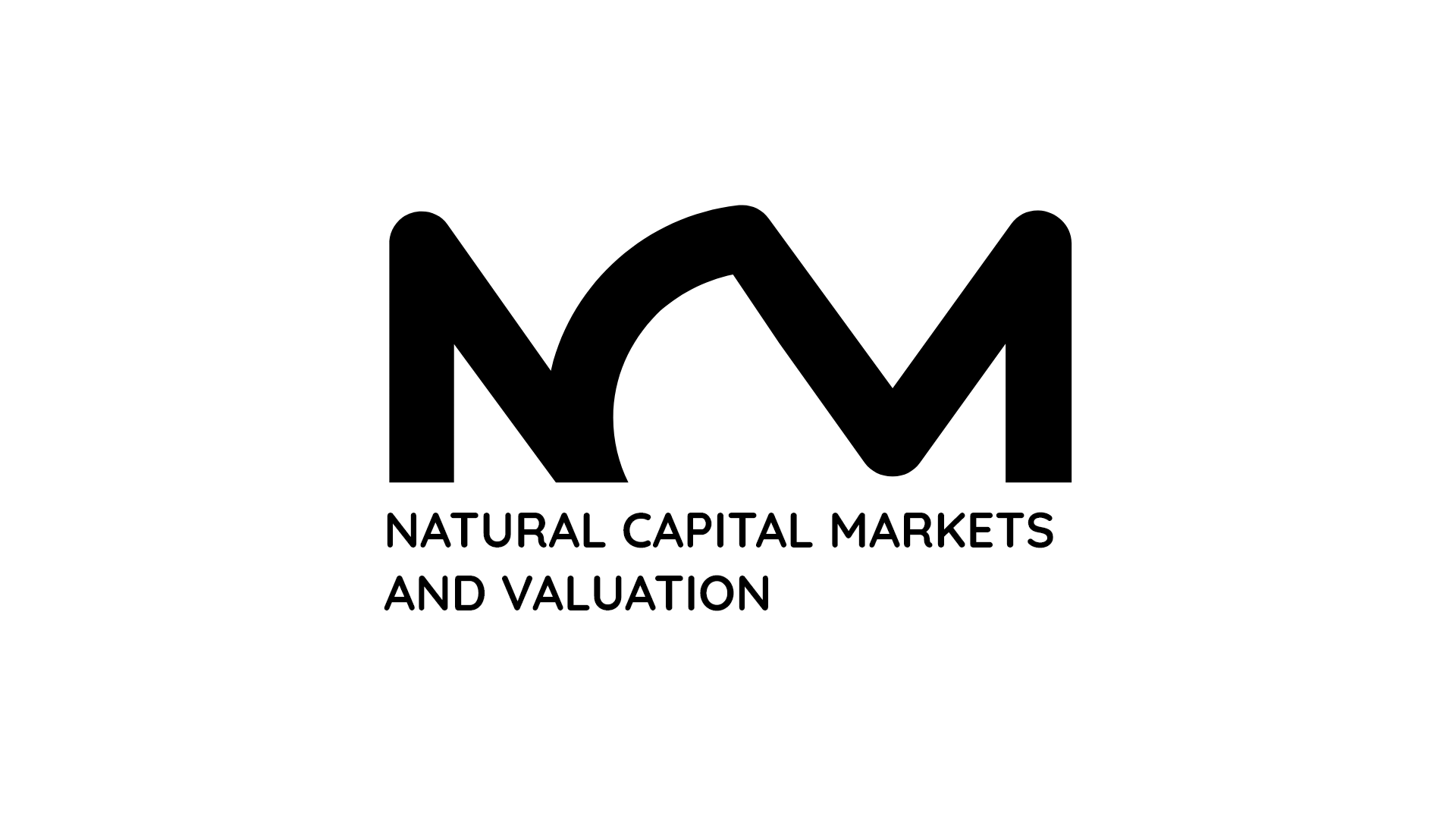 Logo Natural Capital Markets and Valuation